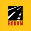 logo Borum